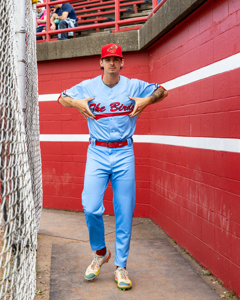 The Birds Hamilton Cardinals Blue Jersey