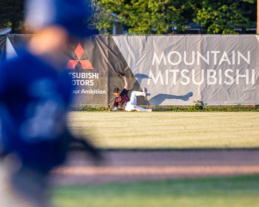 Outfield Signage (7 x 30)