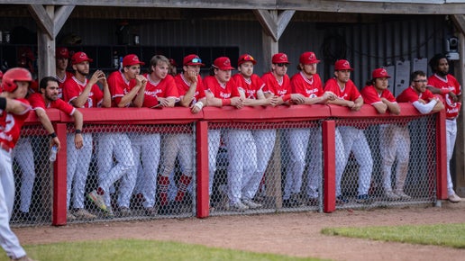 Dugout Signage