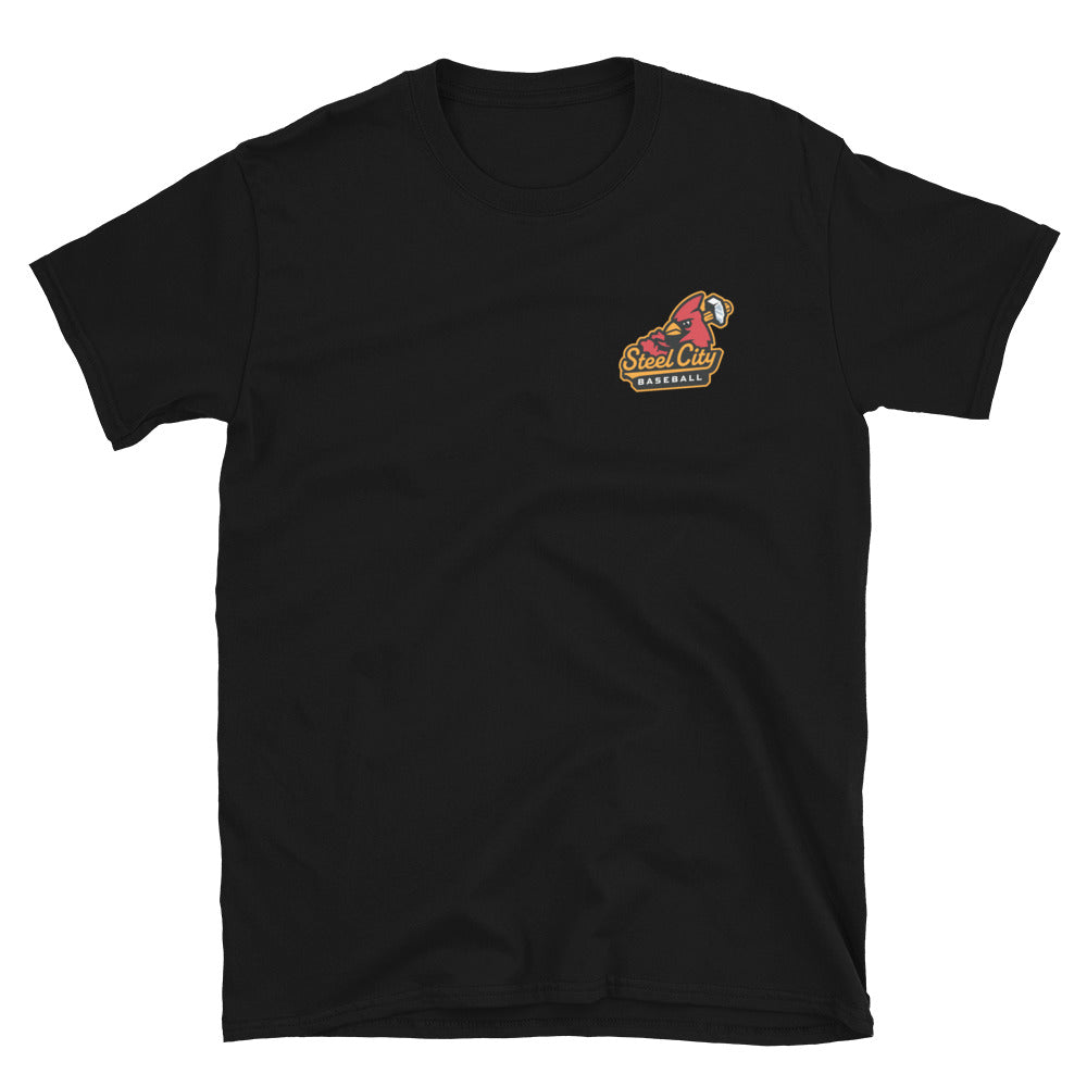 Steel City Baseball T-Shirt (2024 Design)